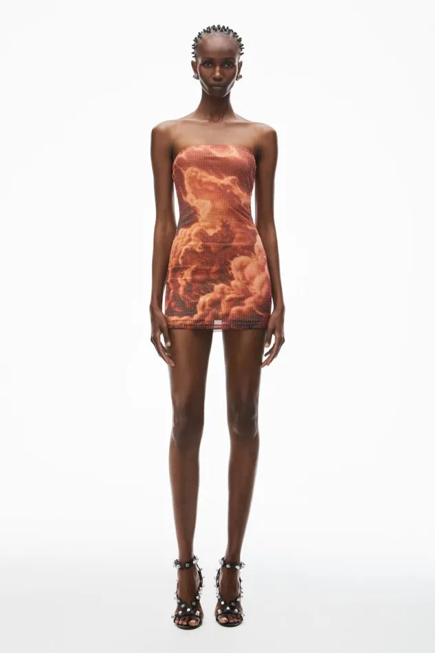 Alexander Wang Dresses Women Crystal Hotfix CloudPrint Minidress In Organza Jersey