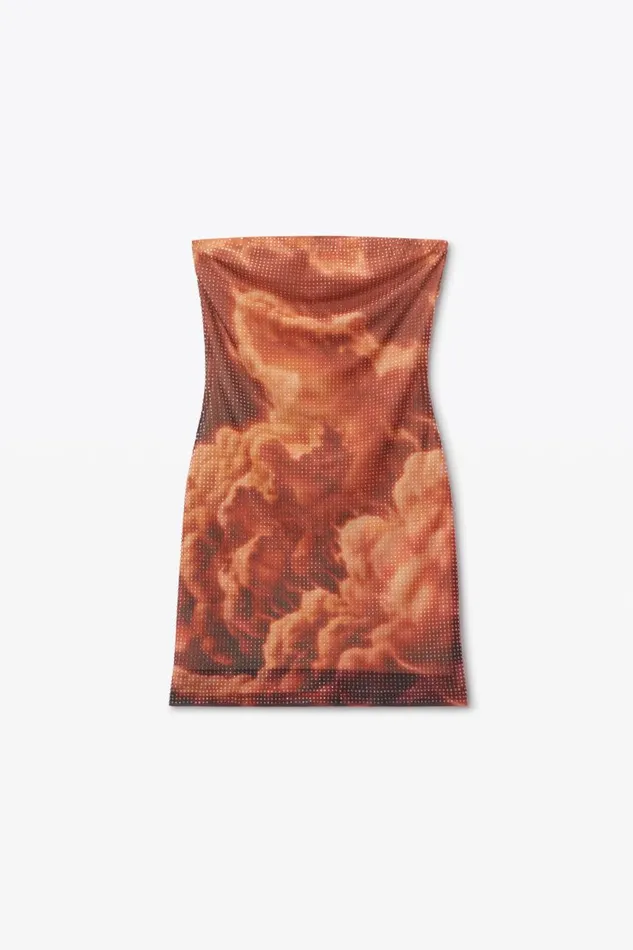 Alexander Wang Dresses Women Crystal Hotfix CloudPrint Minidress In Organza Jersey