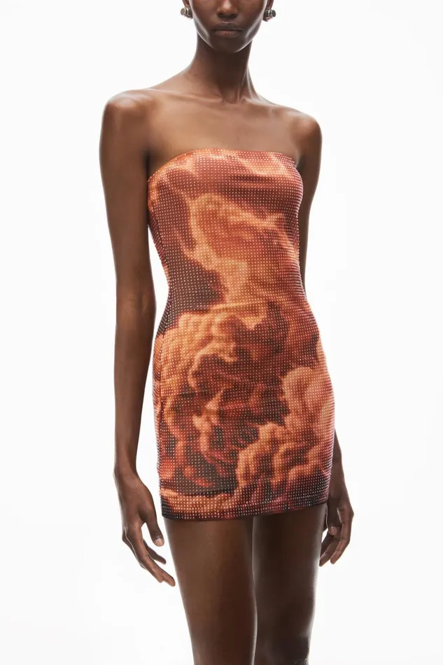 Alexander Wang Dresses Women Crystal Hotfix CloudPrint Minidress In Organza Jersey