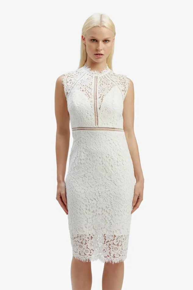 Bardot Occasion Dresses Lace Panel Dress In Orchid White 8211 Women Bardot Occasion Dresses Lace Panel Dress In Orchid White 8211 Women