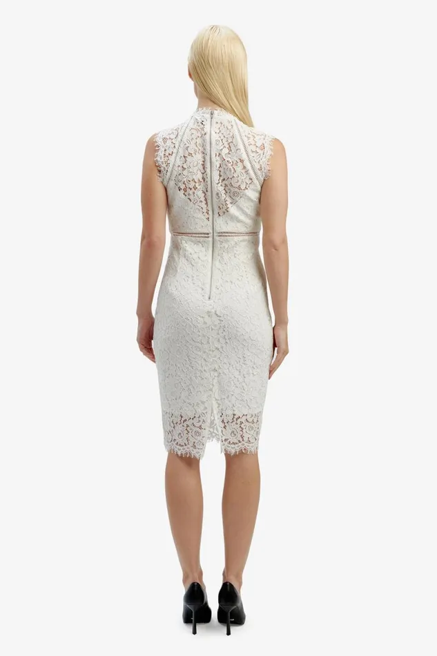 Bardot Occasion Dresses Lace Panel Dress In Orchid White 8211 Women Bardot Occasion Dresses Lace Panel Dress In Orchid White 8211 Women