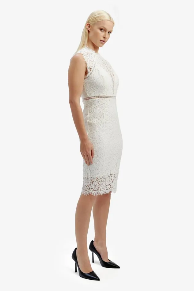 Bardot Occasion Dresses Lace Panel Dress In Orchid White 8211 Women Bardot Occasion Dresses Lace Panel Dress In Orchid White 8211 Women