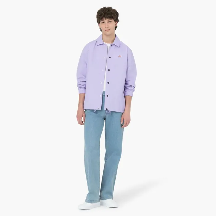 Dickies Jeans Dickies Skateboarding Wingville Loose Jeans Light Denim Light Denim ltd 8211 Men Dickies Jeans Dickies Skateboarding Wingville Loose Jeans Light Denim Light Denim ltd 8211 Men