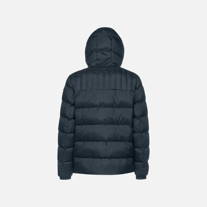 Geox Jackets SANDFORD MAN Sky CaptainDress Blues Quilted Jacket Sky Captaindress Blues 8211 Man