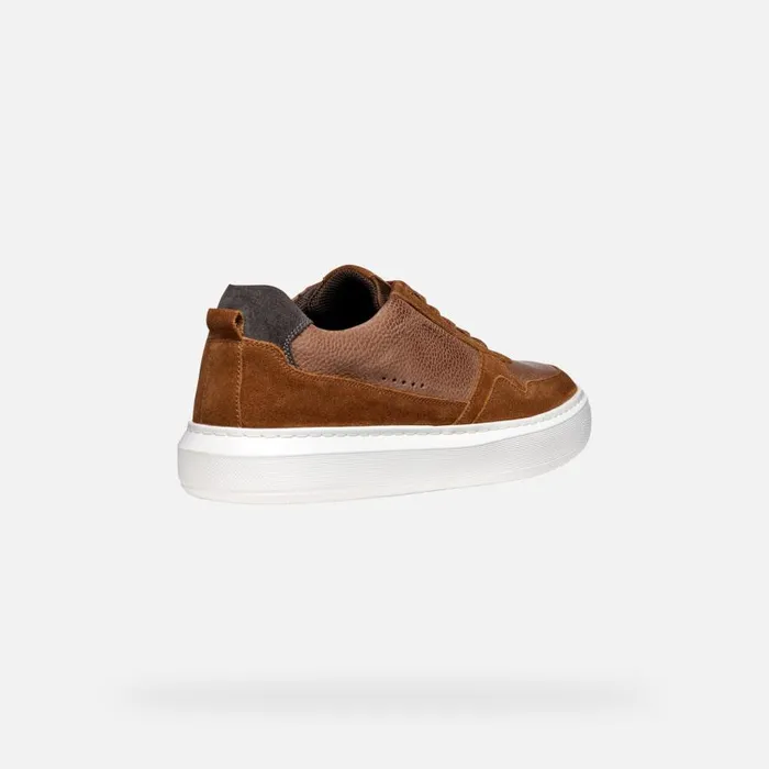 Geox Sneakers DEIVEN MAN Brown Cotto Low Top Sneakers Brown Cotto 8211 Man