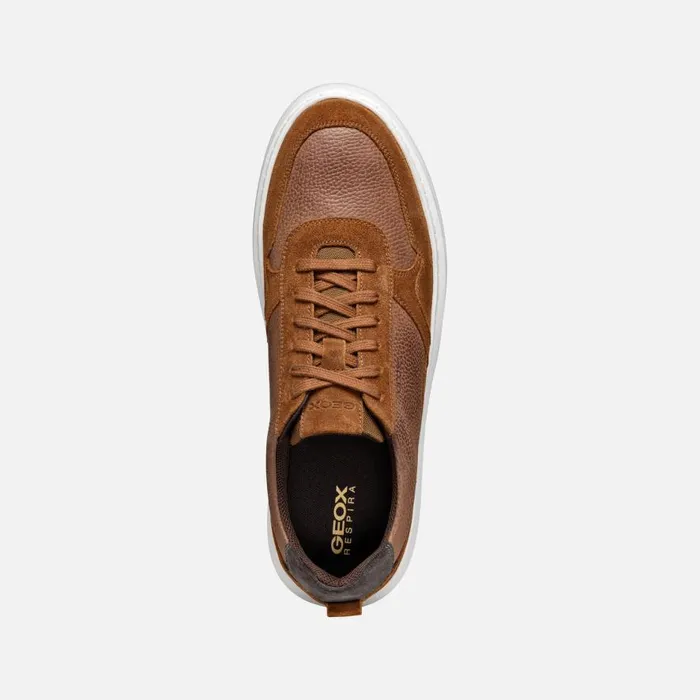 Geox Sneakers DEIVEN MAN Brown Cotto Low Top Sneakers Brown Cotto 8211 Man