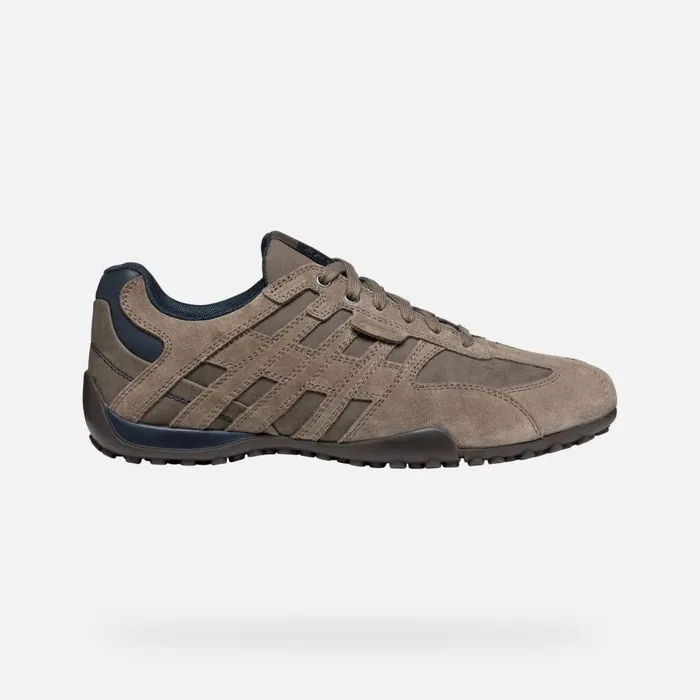 Geox Sneakers SNAKE MAN Dove Grey Low Top Sneakers Dove Grey 8211 Man