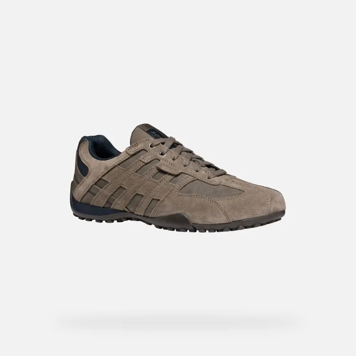Geox Sneakers SNAKE MAN Dove Grey Low Top Sneakers Dove Grey 8211 Man