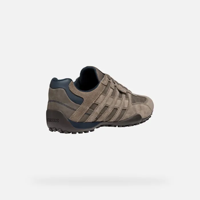 Geox Sneakers SNAKE MAN Dove Grey Low Top Sneakers Dove Grey 8211 Man