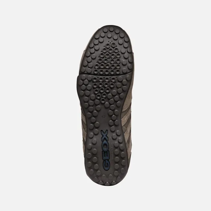 Geox Sneakers SNAKE MAN Dove Grey Low Top Sneakers Dove Grey 8211 Man