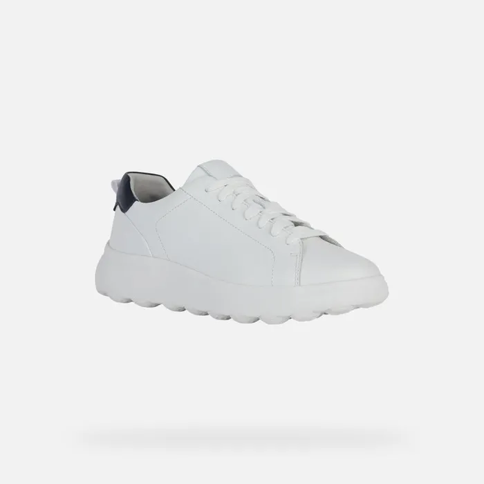 Geox Sneakers SPHERICA EC41 Men039s White Low Top Sneakers Geox White 8211 Man