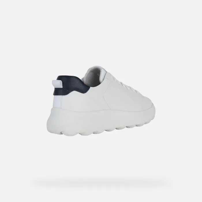 Geox Sneakers SPHERICA EC41 Men039s White Low Top Sneakers Geox White 8211 Man