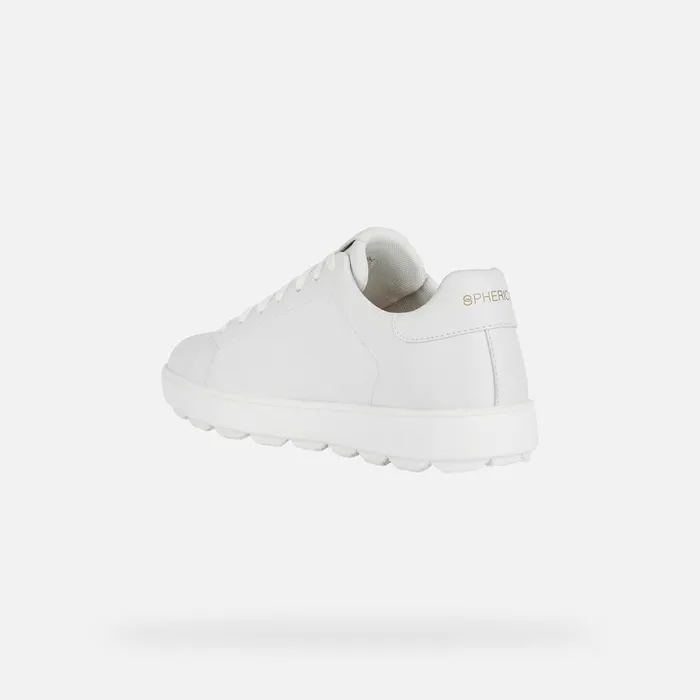 Geox Sneakers SPHERICA ECUB1 Men039s White Low Top Sneakers SS White 8211 Man