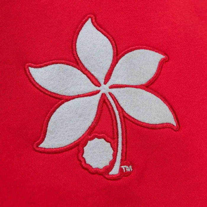 Men039s Hoodies and Sweatshirts Mitchell and Ness PreGame SS Fleece Hoodie Ohio State Men039s Hoodies and Sweatshirts Mitchell and Ness PreGame SS Fleece Hoodie Ohio State