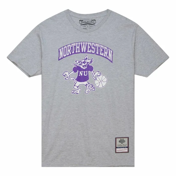 Men039s TShirts and Tops Mitchell and Ness Vintage Arch Tee Northwestern University Men039s TShirts and Tops Mitchell and Ness Vintage Arch Tee Northwestern University