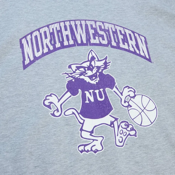 Men039s TShirts and Tops Mitchell and Ness Vintage Arch Tee Northwestern University Men039s TShirts and Tops Mitchell and Ness Vintage Arch Tee Northwestern University