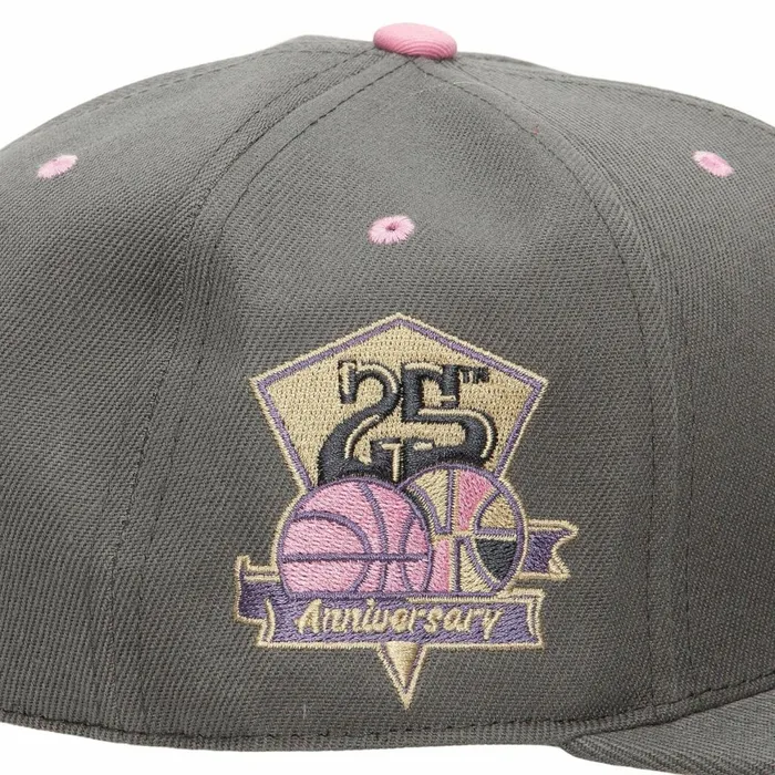 Men039sWomen039s Fitted 163 Styles Mitchell and Ness Lavender Dreams Fitted HWC Denver Nuggets Men039sWomen039s Fitted 163 Styles Mitchell and Ness Lavender Dreams Fitted HWC Denver Nuggets