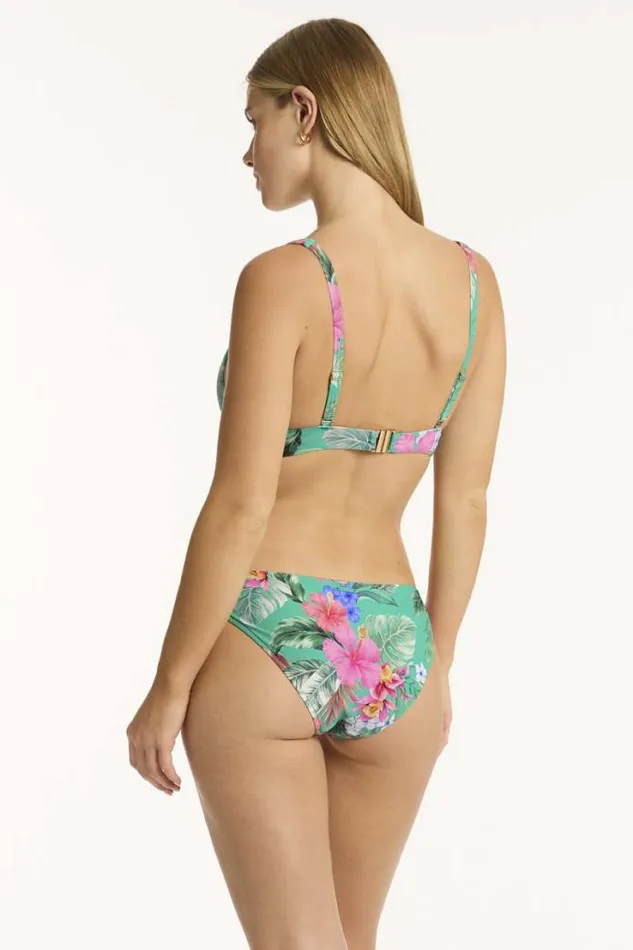 Pacifico Regular Cheeky Pant Pacifico Women Sea Level Bottoms