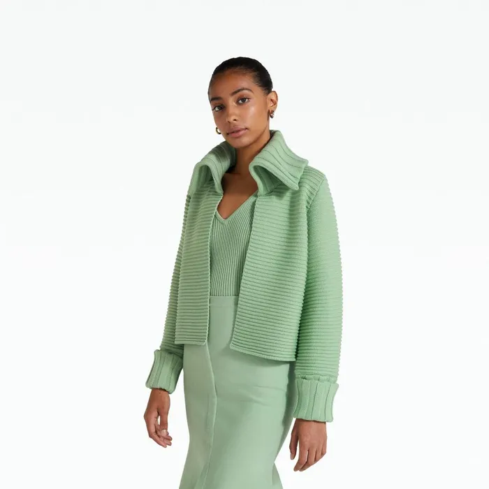 Safiyaa Mirielle Sage Knit Women Knitwear
