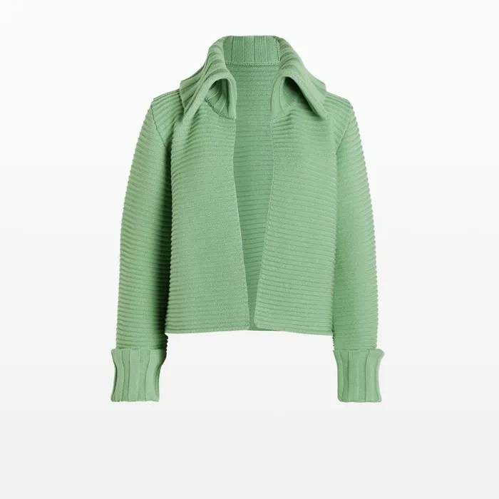 Safiyaa Mirielle Sage Knit Women Knitwear