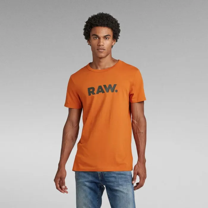 TShirts and Polos Men GStar RAW Holorn TShirt Gold Flame