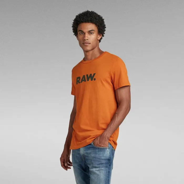 TShirts and Polos Men GStar RAW Holorn TShirt Gold Flame