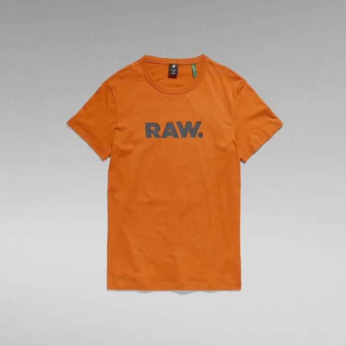 TShirts and Polos Men GStar RAW Holorn TShirt Gold Flame