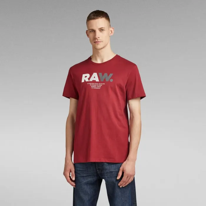 TShirts and Polos Men GStar RAW Multi Colored RAW TShirt Chateaux Red