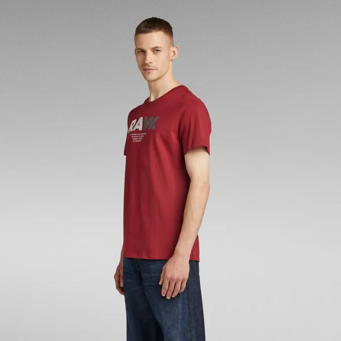 TShirts and Polos Men GStar RAW Multi Colored RAW TShirt Chateaux Red
