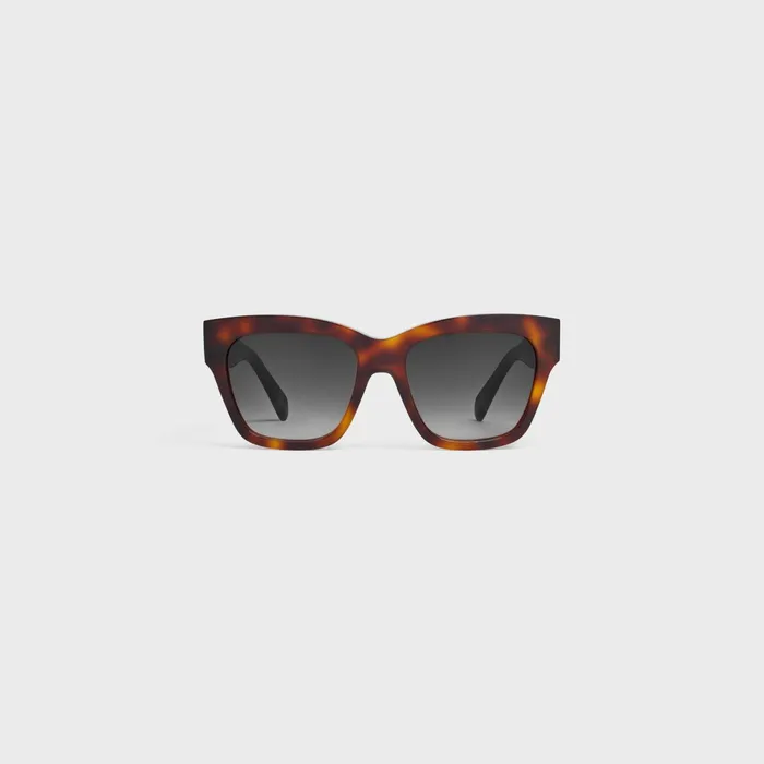 Triomphe 09 Sunglasses In Acetate Classic Havana Women CELINE SUNGLASSES