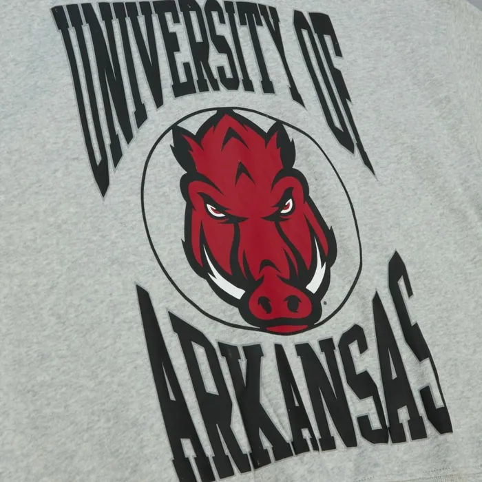 Women039s Hoodies and Sweatshirts Mitchell and Ness Women039s Logo Lightweight Crew 30 University Of Arkansas Women039s Hoodies and Sweatshirts Mitchell and Ness Women039s Logo Lightweight Crew 30 University Of Arkansas