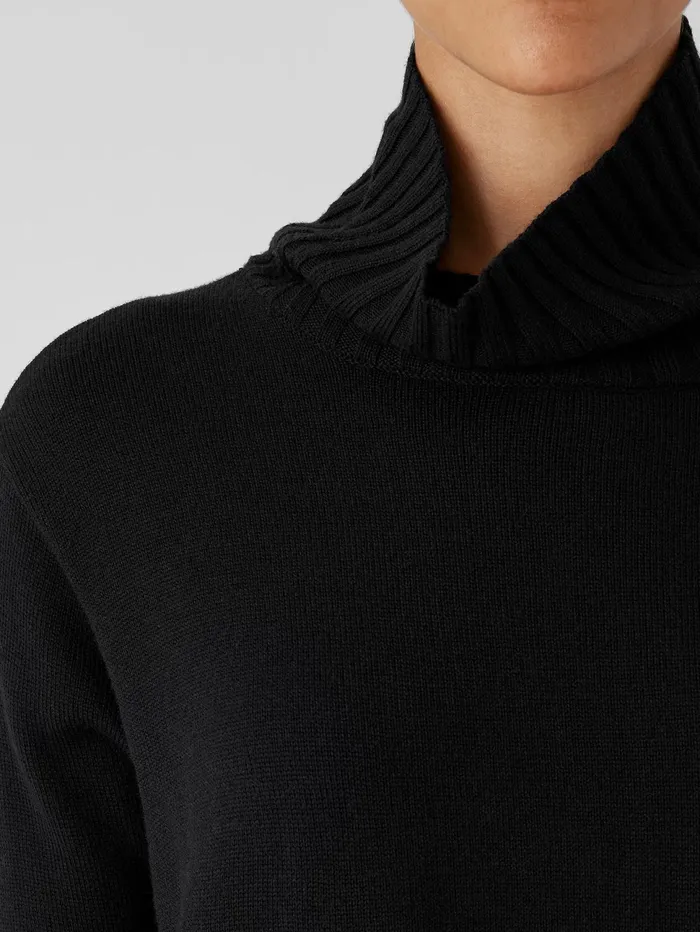 Women Eileen Fisher Sweaters and Cardigans Merino Jersey Turtleneck In Regenerative Wool Black