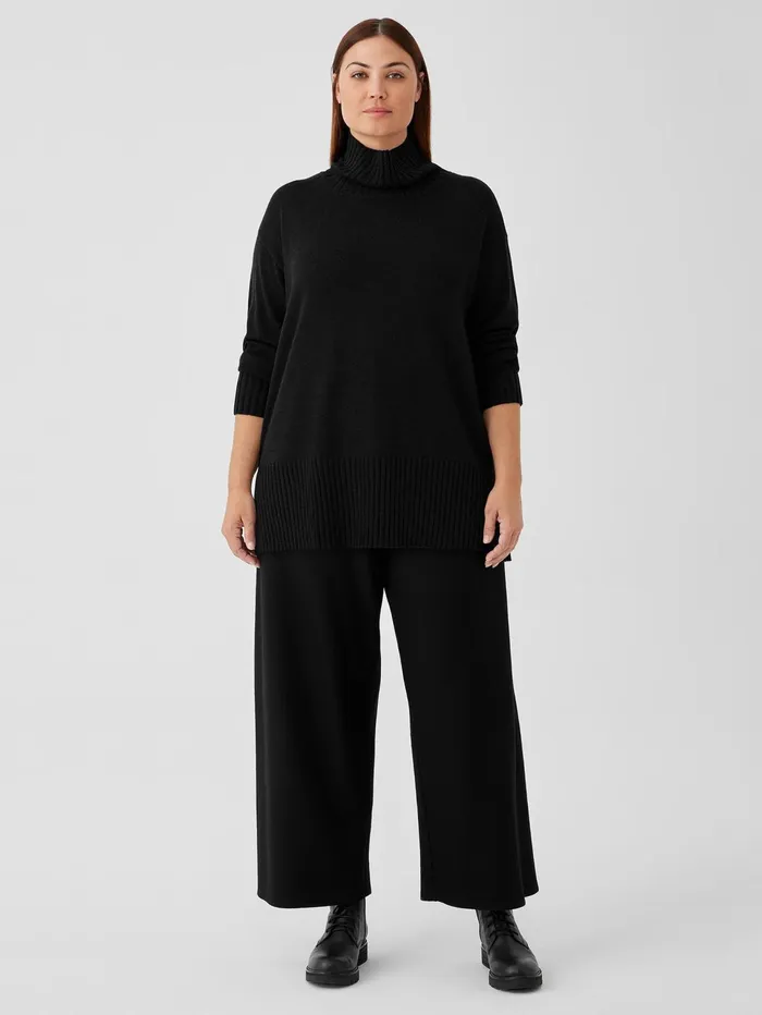 Women Eileen Fisher Sweaters and Cardigans Merino Jersey Turtleneck In Regenerative Wool Black