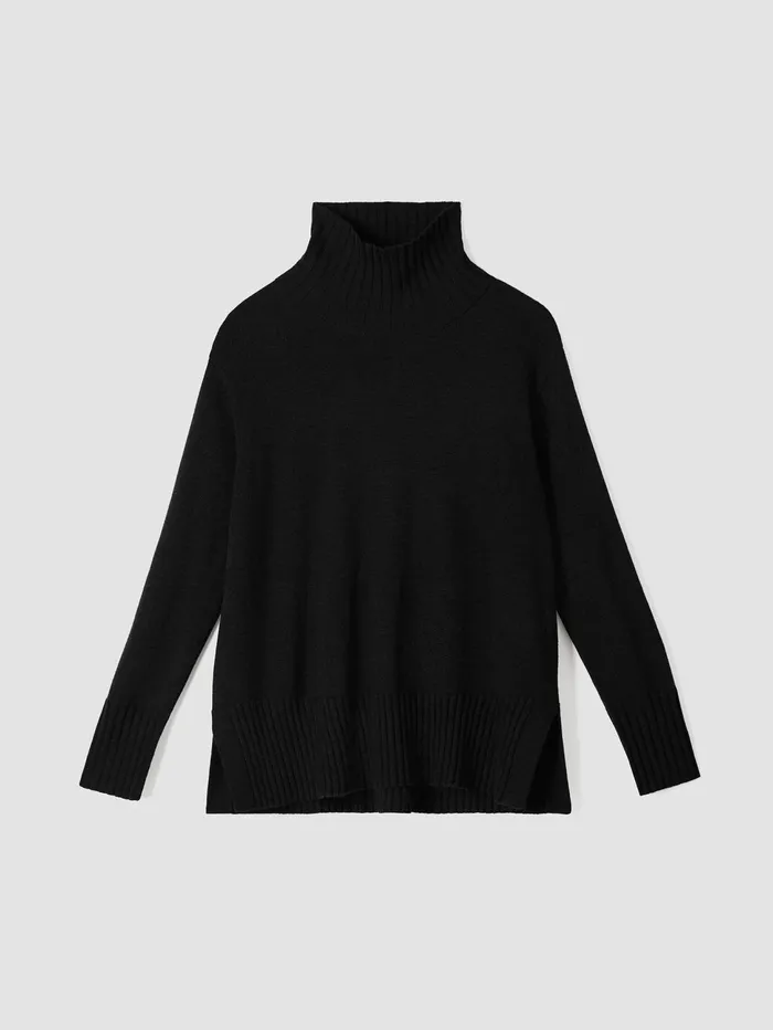 Women Eileen Fisher Sweaters and Cardigans Merino Jersey Turtleneck In Regenerative Wool Black