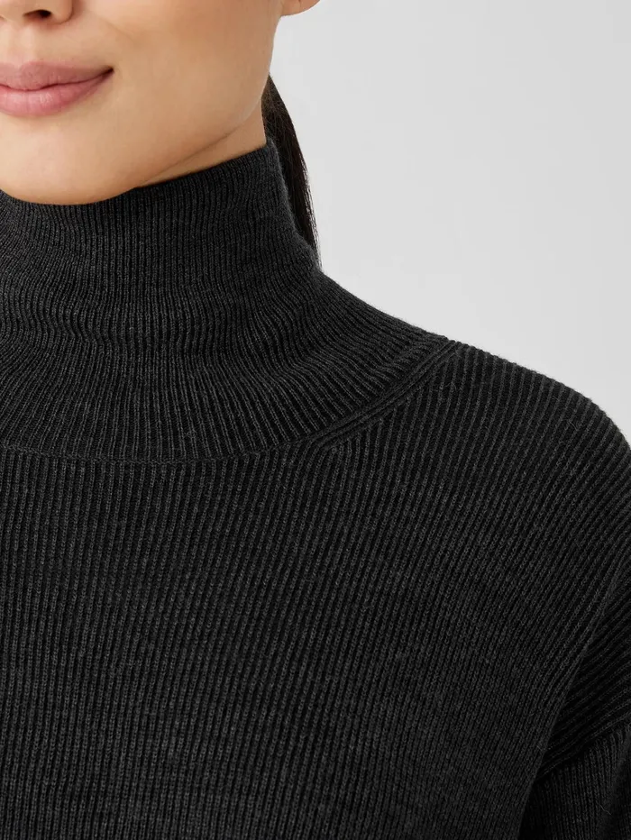 Women Eileen Fisher Sweaters and Cardigans Merino Turtleneck Top Charcoal