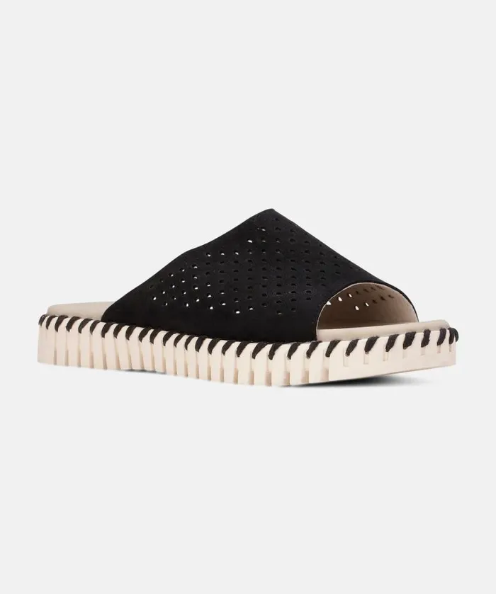Women Sandals Ilse Jacobsen Sandals 8211 Black Women Sandals Ilse Jacobsen Sandals 8211 Black