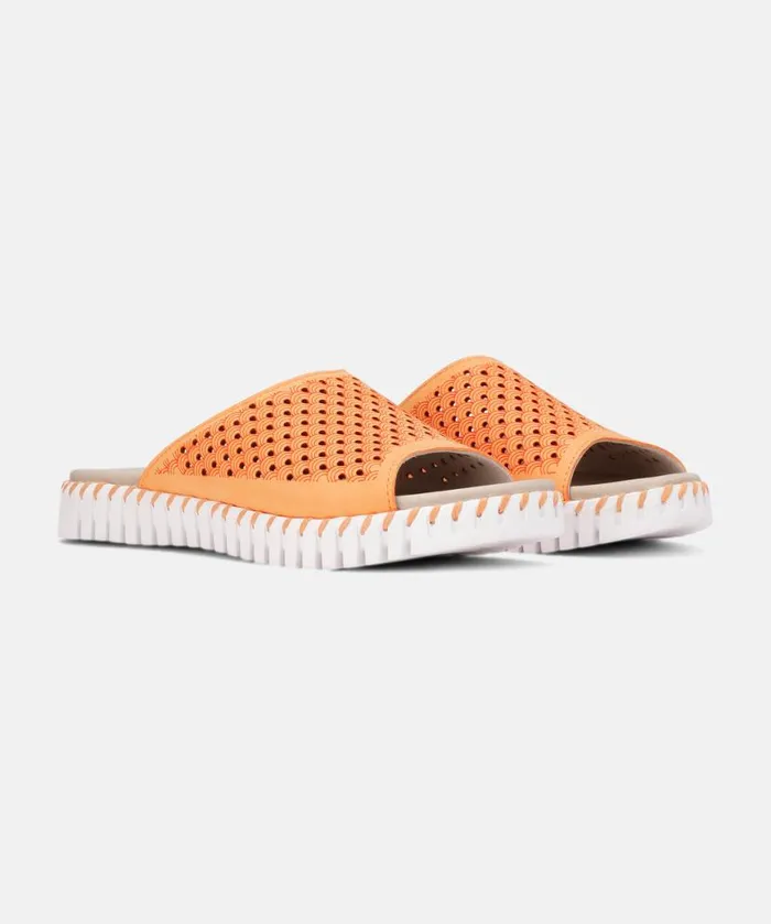 Women Sandals Ilse Jacobsen Sandals 8211 Mango Sorbet