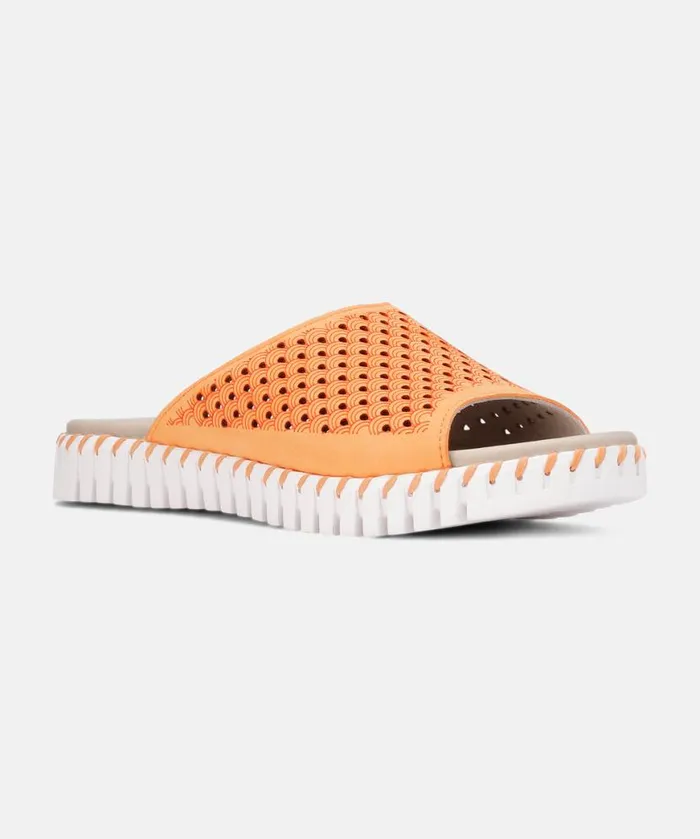 Women Sandals Ilse Jacobsen Sandals 8211 Mango Sorbet Women Sandals Ilse Jacobsen Sandals 8211 Mango Sorbet