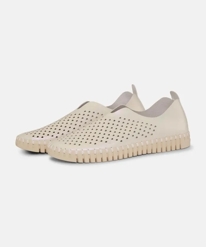 Women Tulip Flats Ilse Jacobsen Flats 8211 Whitecap